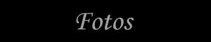 seccion